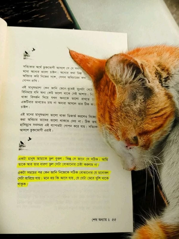 Shesh Odhyay By Ashraf Ahmed - শেষ অধ্যায় - আশরাফ আহমেদ - অন্যধারা প্রকাশনী - Image 7 by Anyadhara Prakashani